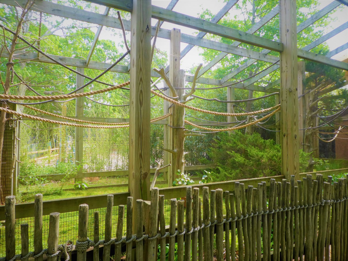 Canopy Creatures - Golden Lion Tamarin and Common Marmoset Exhibit