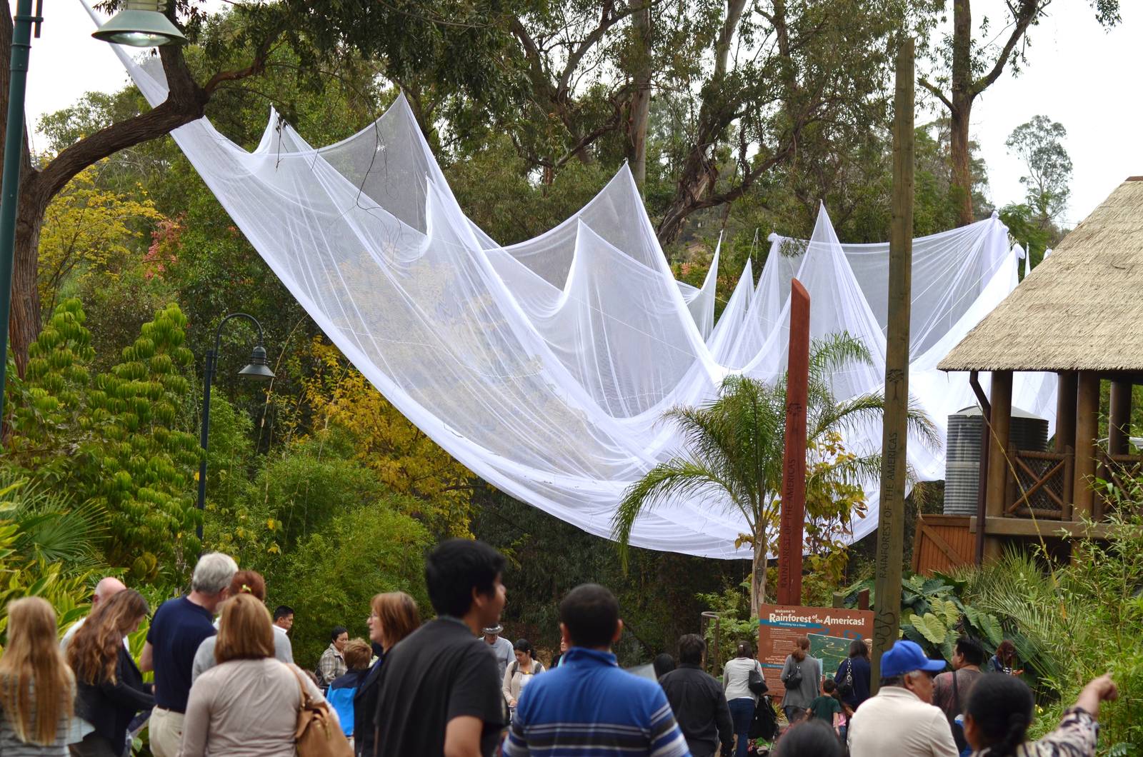 Canopy - LA Zoo Lights?