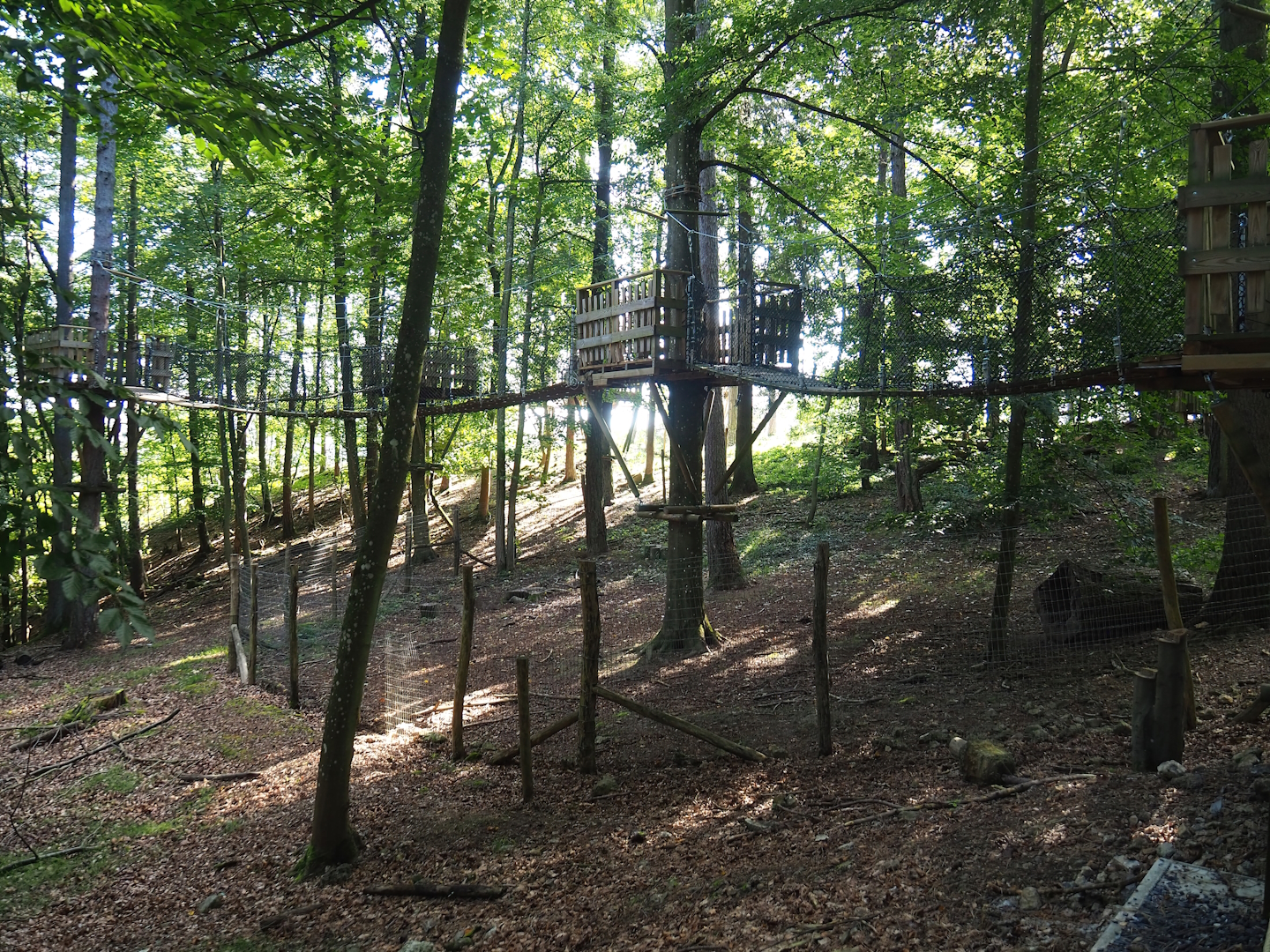 Canopy trail and Arctic fox exhibit, 2023-09-26