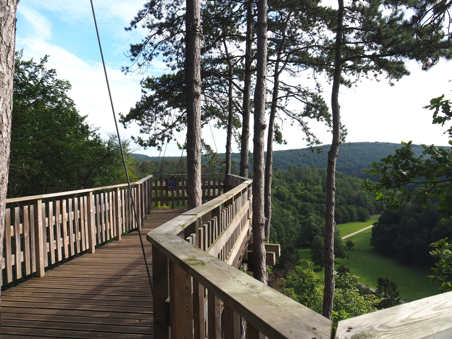 Canopy trail and landscape view of the Lesse Valley and the lower part of the wildlife park, 2021-08-15