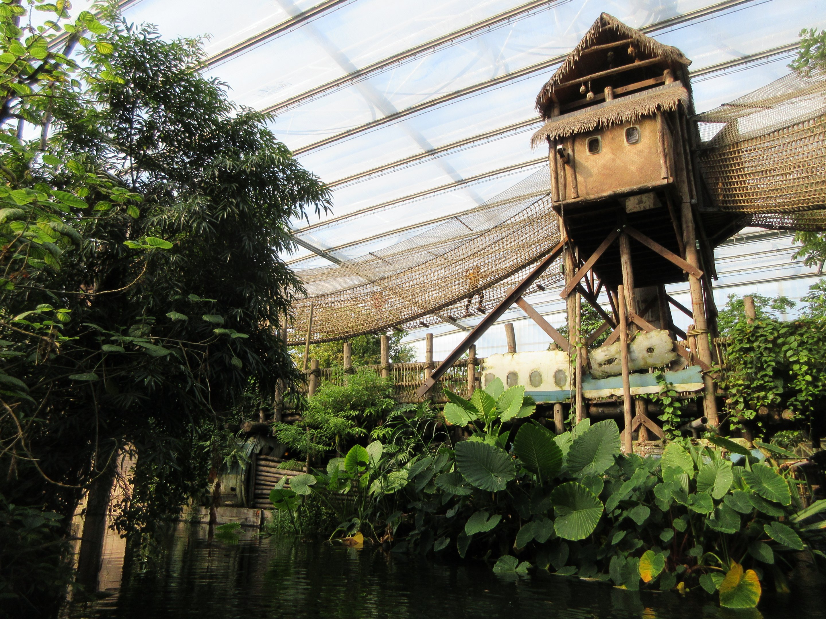 Canopy Walking Trail (for kids)