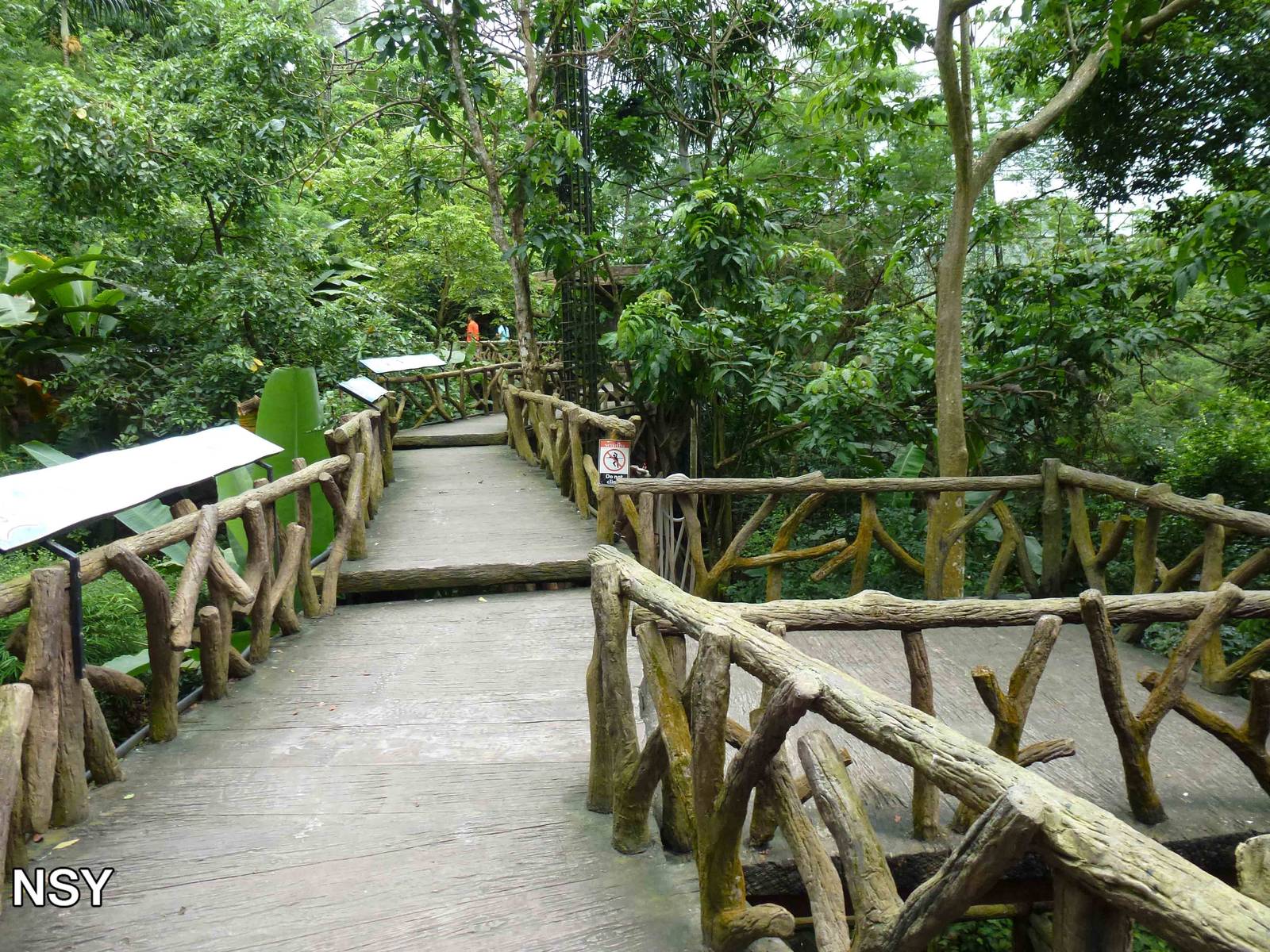 Canopy walkway, June 2013.