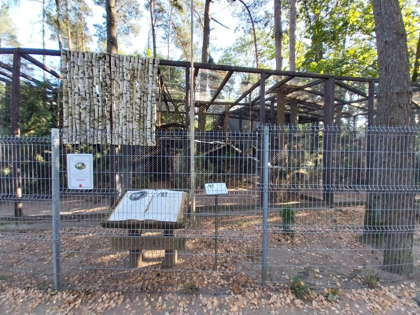 Canpol Zoo CzLuchow - Black-capped Capuchin (Sapajus apella)