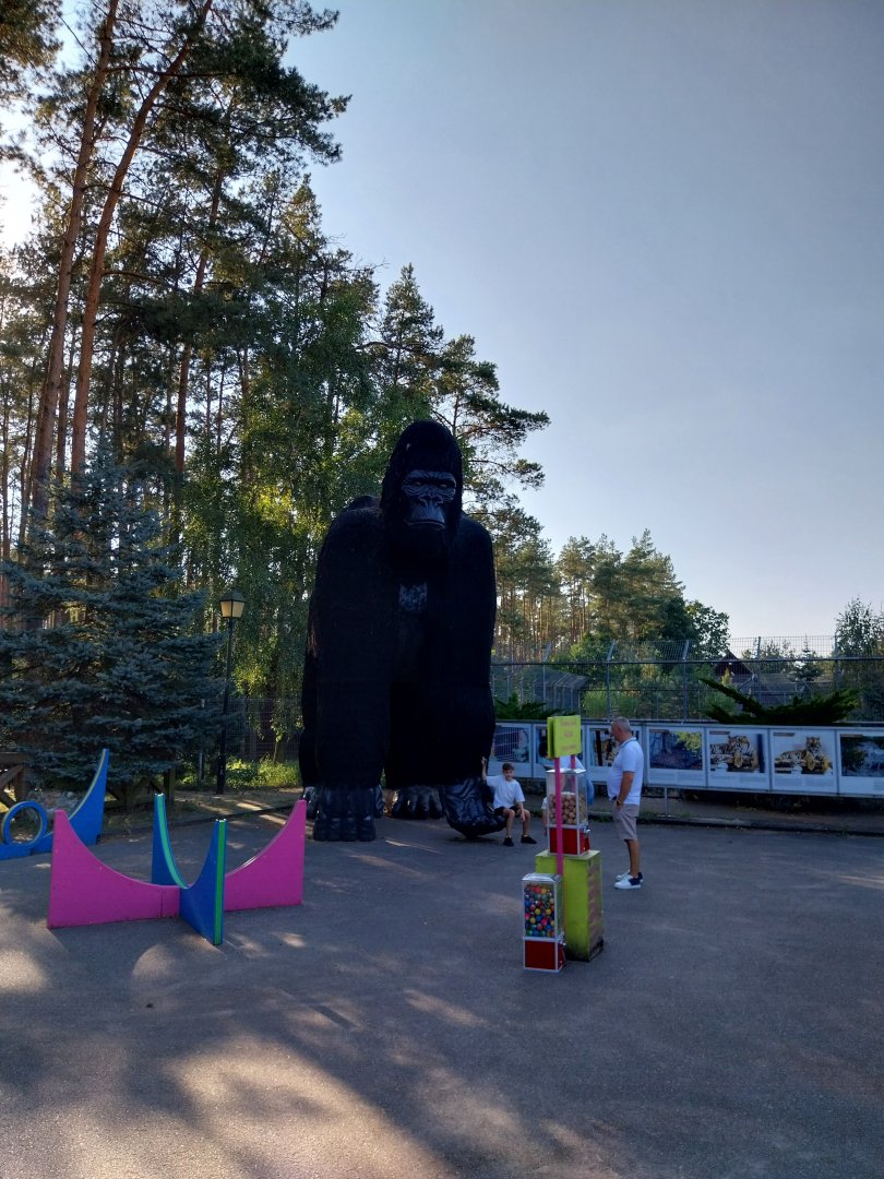 Canpol Zoo CzLuchow - King Kong