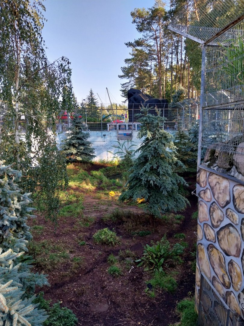 Canpol Zoo CzLuchow - Siberian Tiger (Panthera tigris altaica) pit