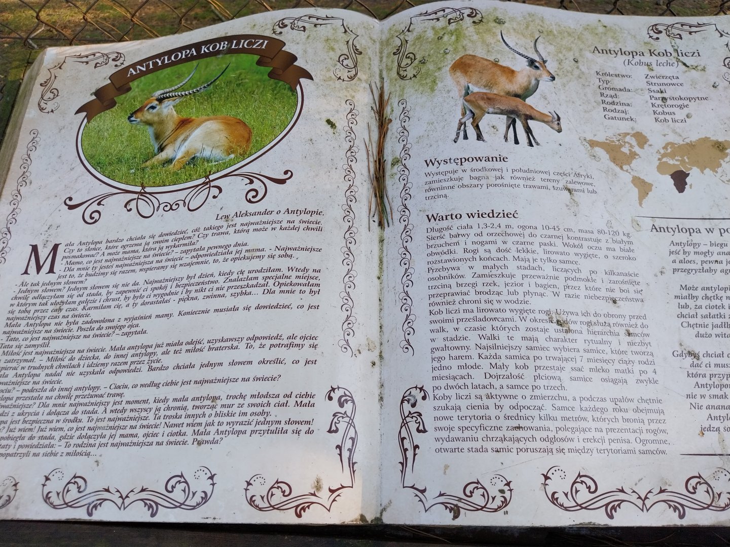 Canpol Zoo CzLuchow - Species sign