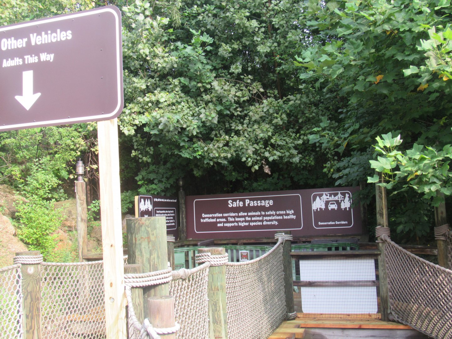 Cans for Corridors Kids Area Renovation in Legends of the Wild