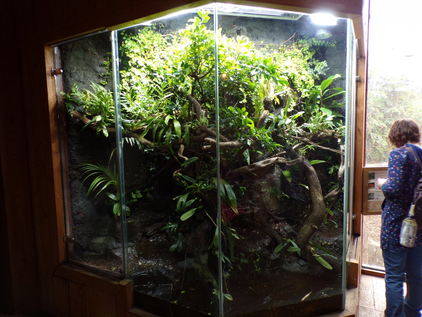 Can’t remember what was in here 29.6.24