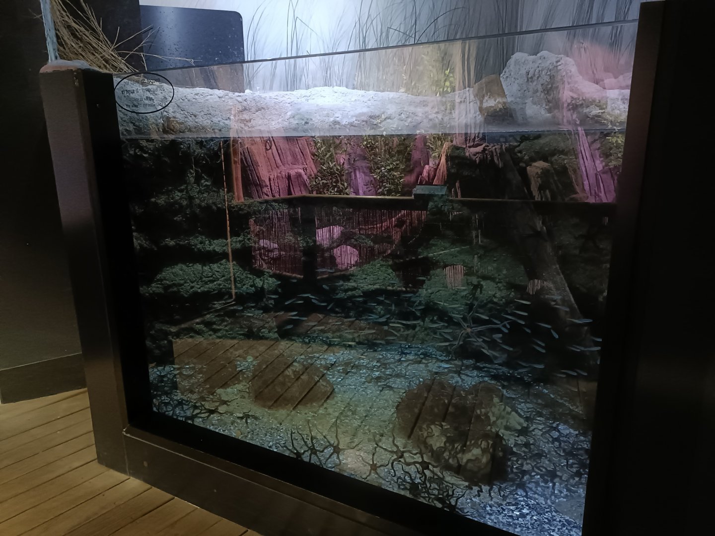 Cantabrian sea exhibit - Bioparc Acuario de Gijón