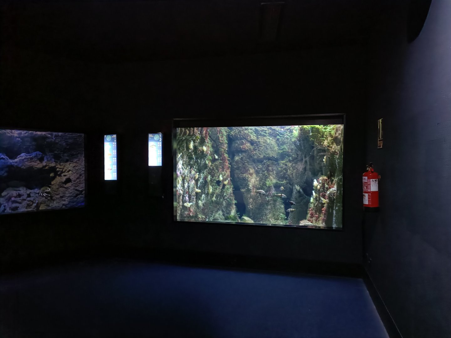 Cantabrian sea exhibit - Bioparc Acuario de Gijón