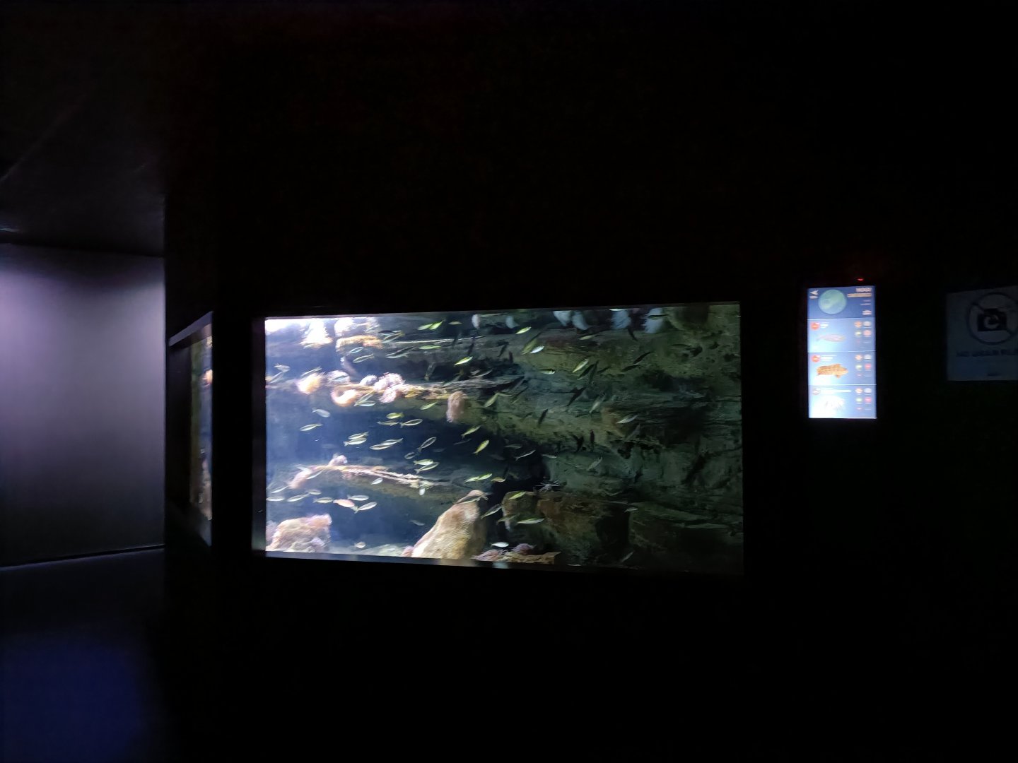 Cantabrian sea exhibit - Bioparc Acuario de Gijón