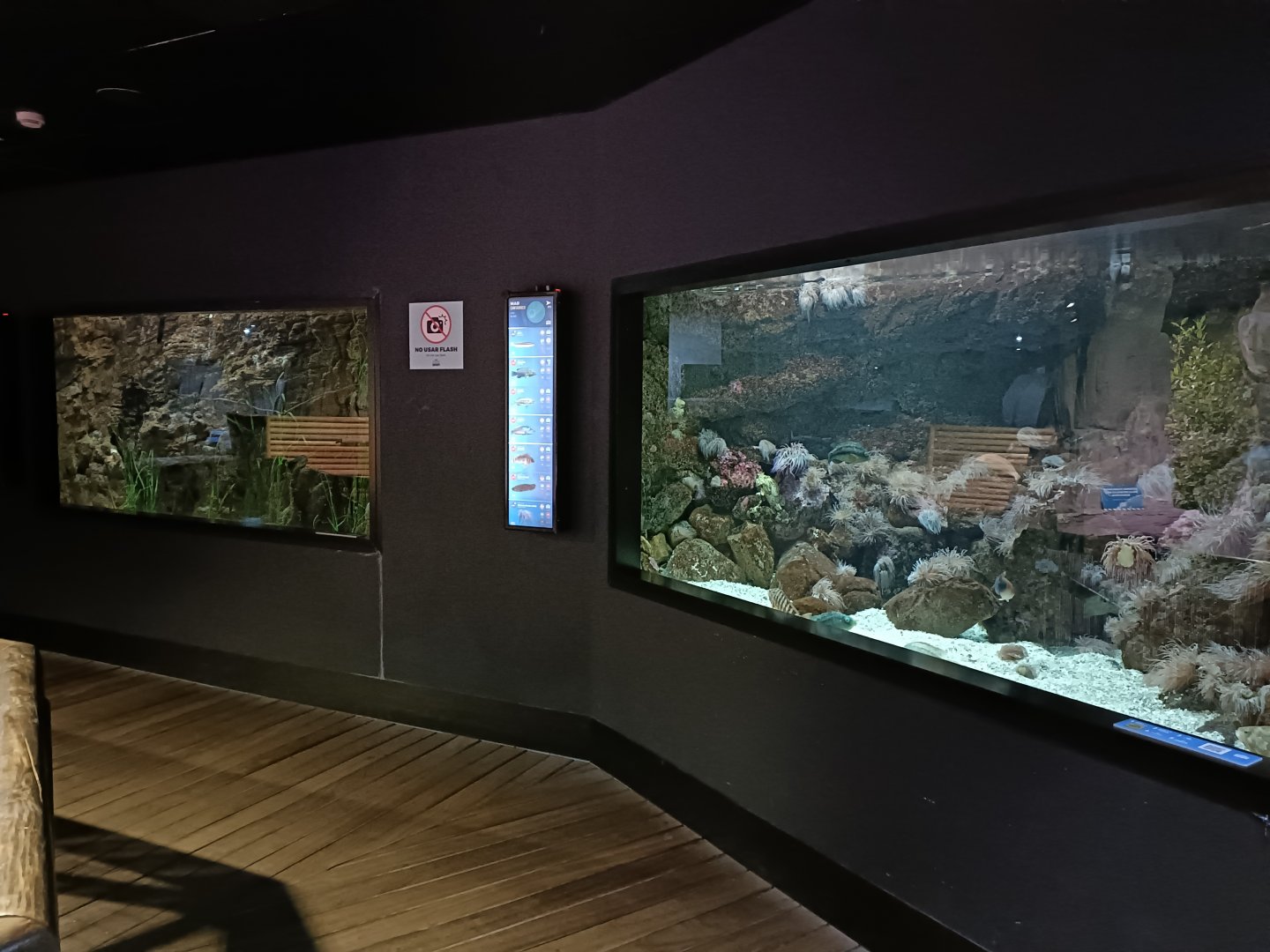 Cantabrian sea exhibits - Bioparc Acuario de Gijón