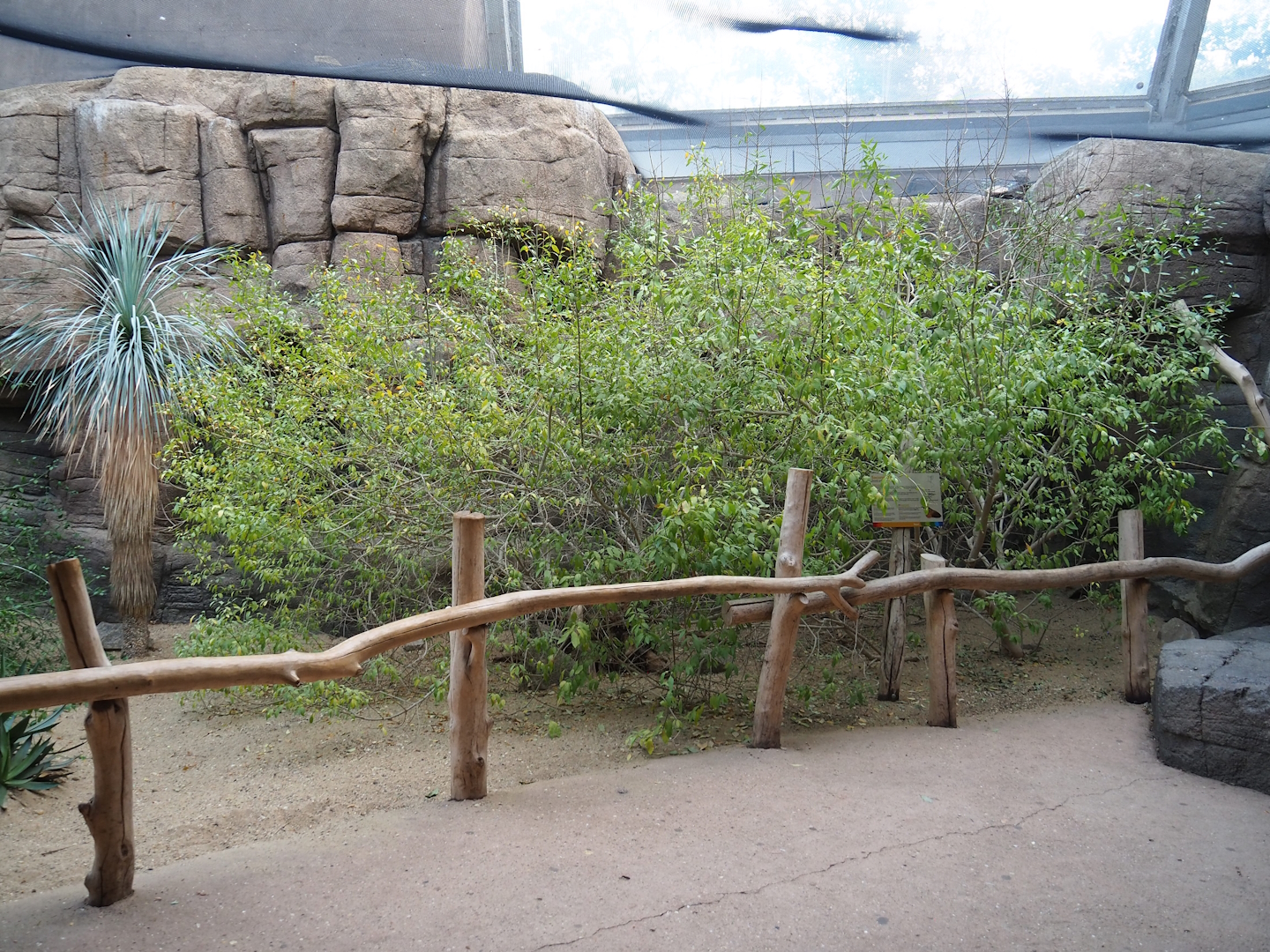 Canyon aviary viewing area, 2023-10-07