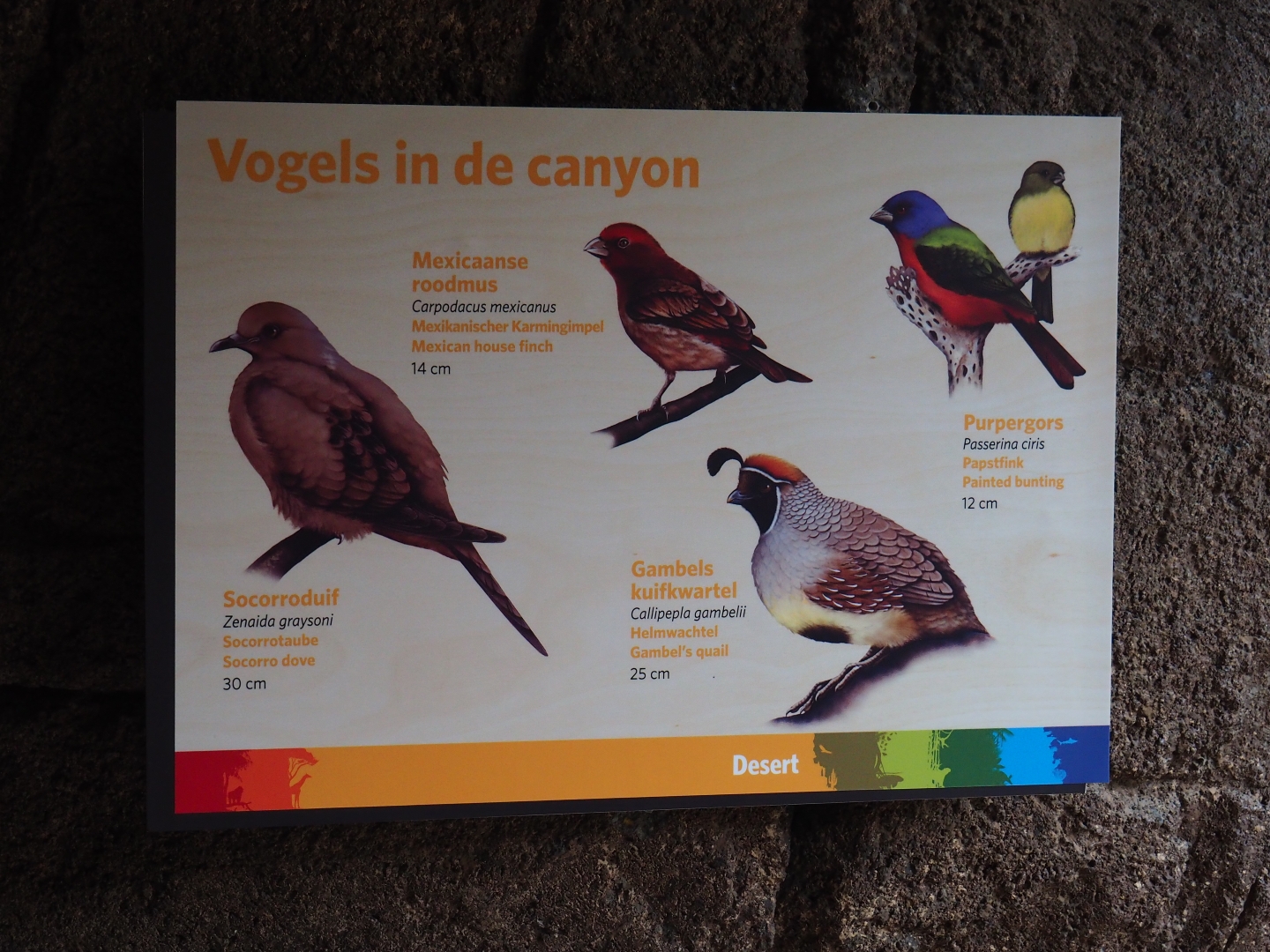 Canyon birds sign (Sep 16th, 2018)