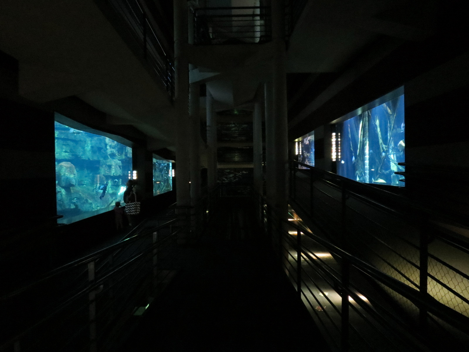 Canyon (central visitor lobby) - Lower Levels