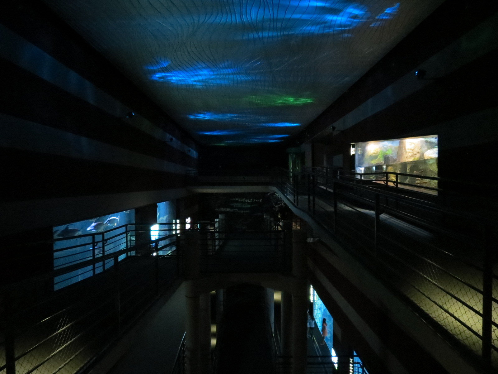 Canyon (central visitor lobby) - Top Floors