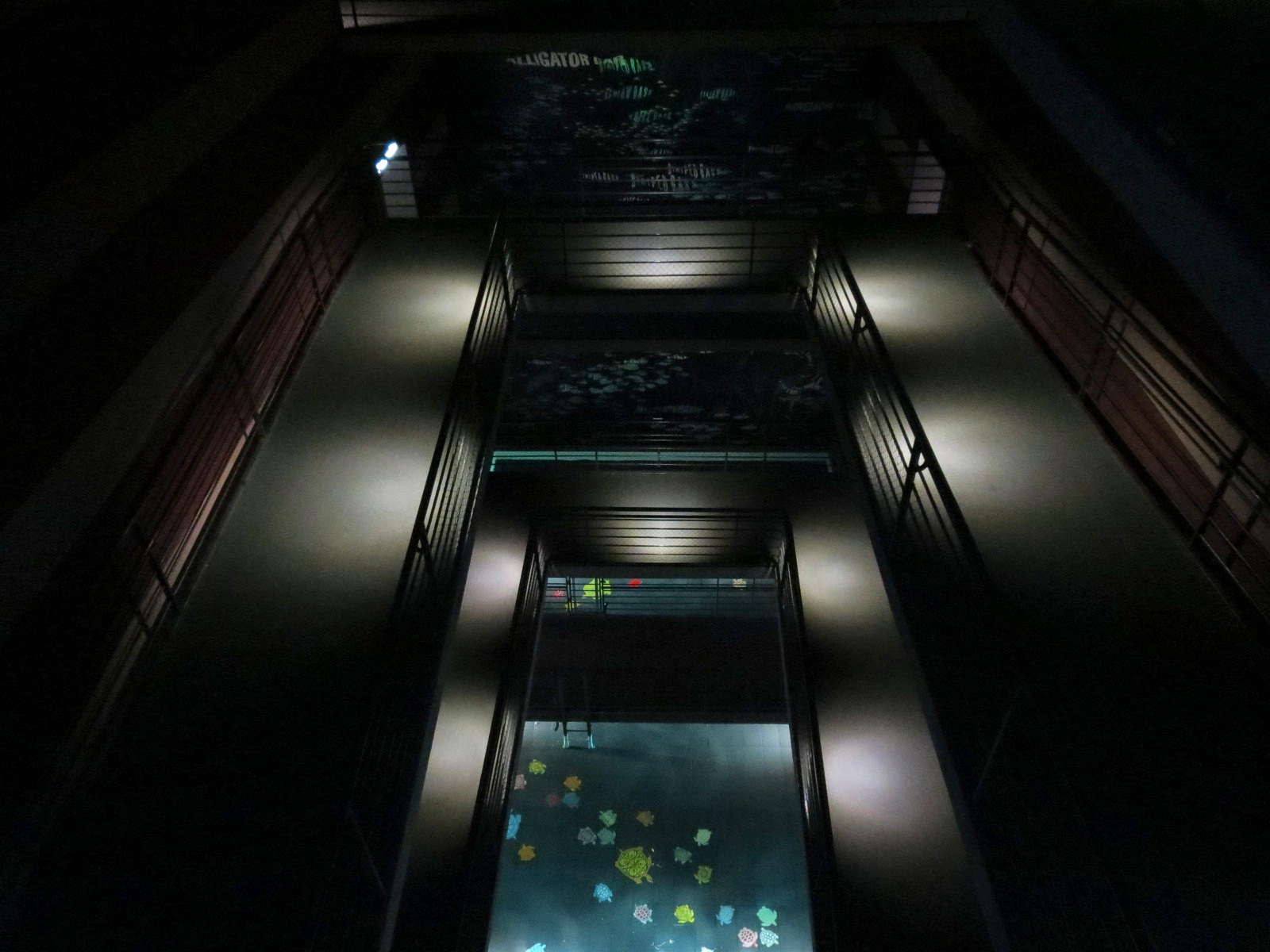 Canyon (central visitor lobby) - Top Floors