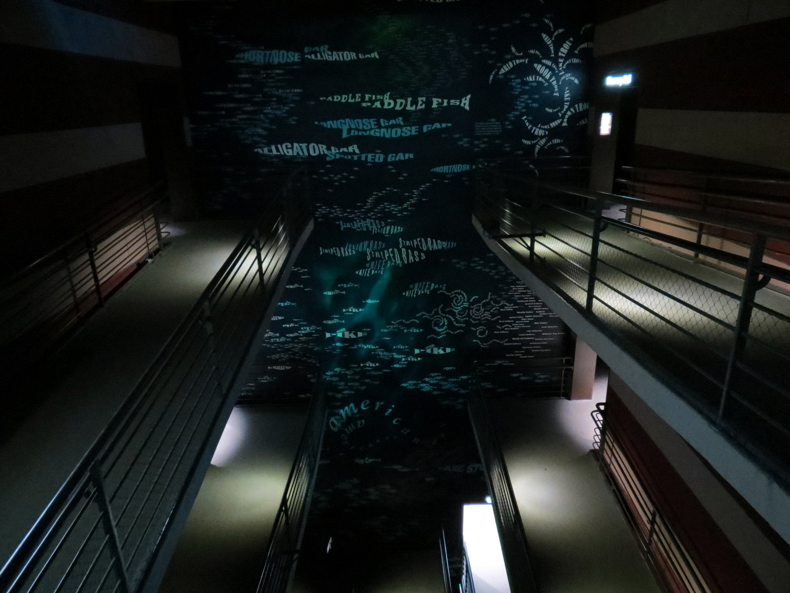 Canyon (central visitor lobby) - Top Floors