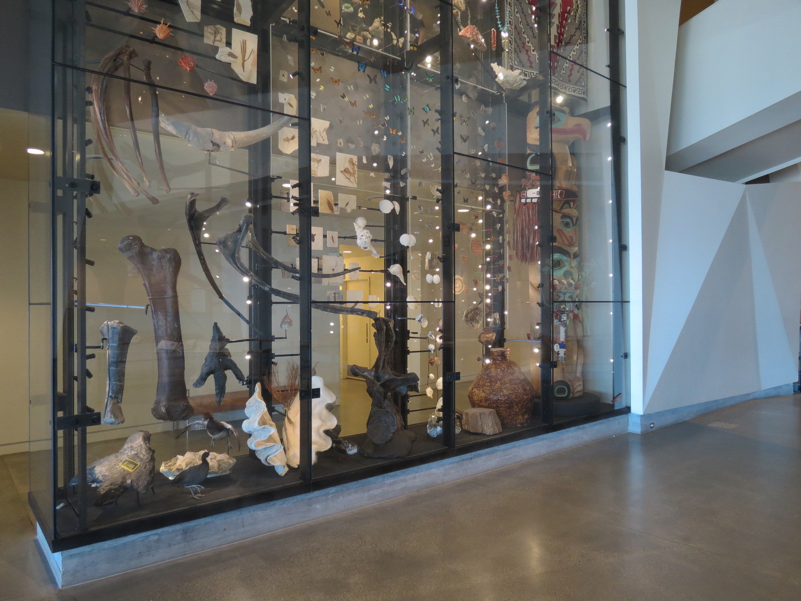 Canyon Lobby - Collections Wall