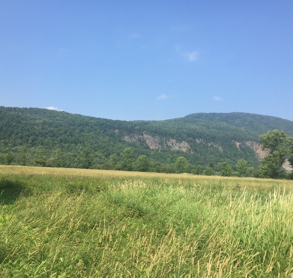 Cap Tourmente National Wildlife Area