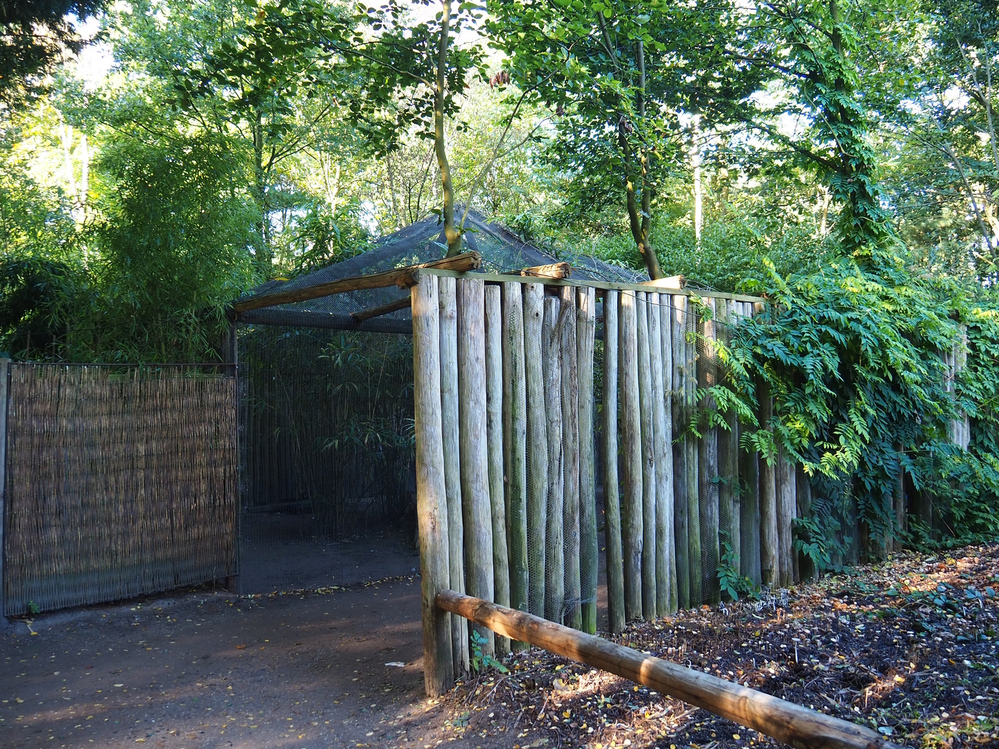 Cape Barren goose aviary viewing area (Former seriema aviary), 2022-10-09