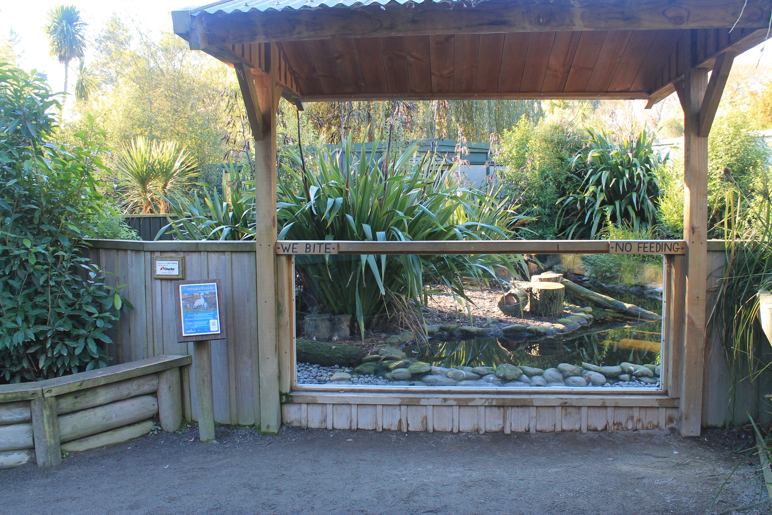 Cape Barren Goose enclosure