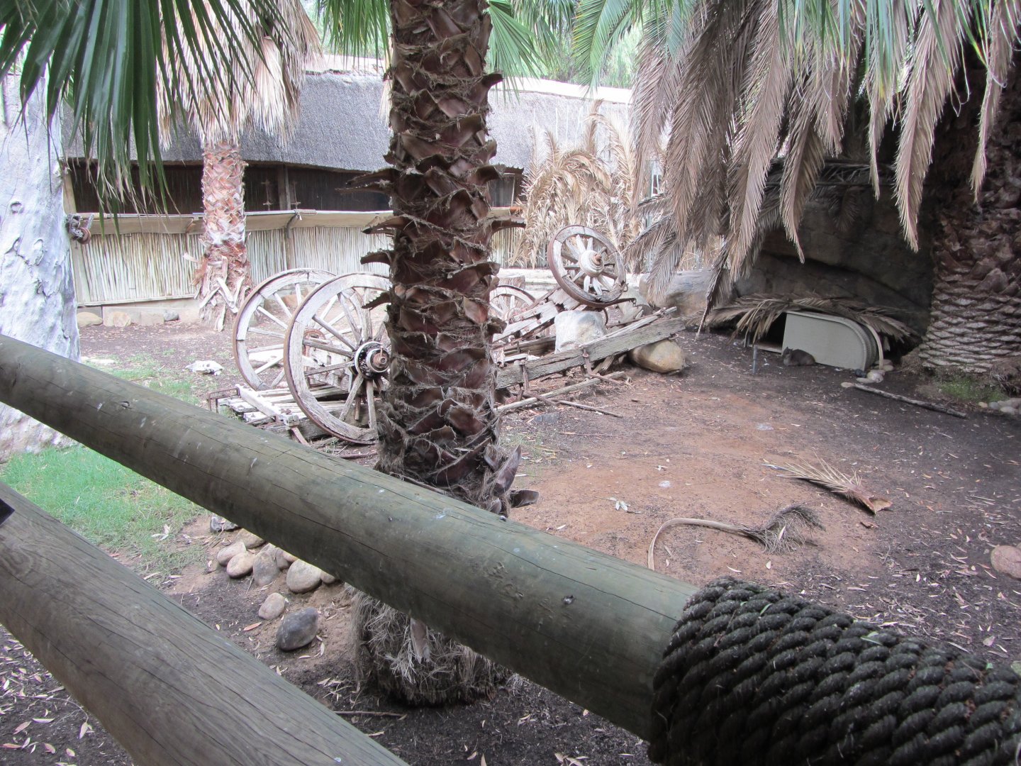 Cape Blue Duiker/Marabou Stork Exhibit