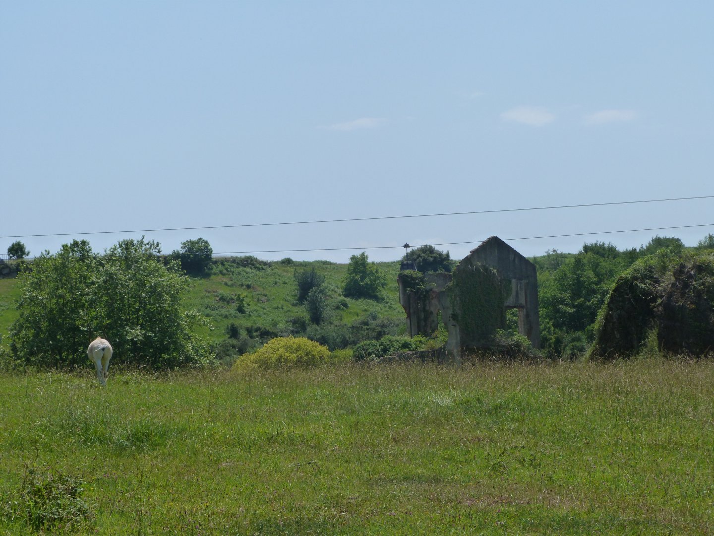 Cape buffalo and Addax exhibit -Parque de la Naturaleza de Cabárceno (2025)