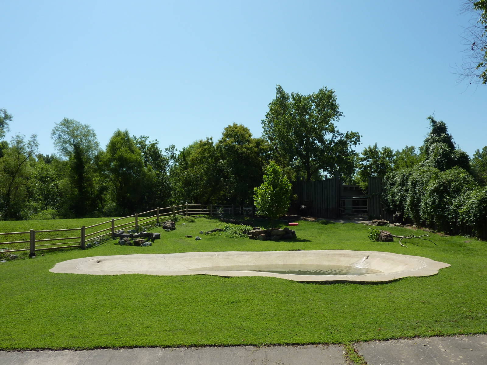 Cape Buffalo Enclosure