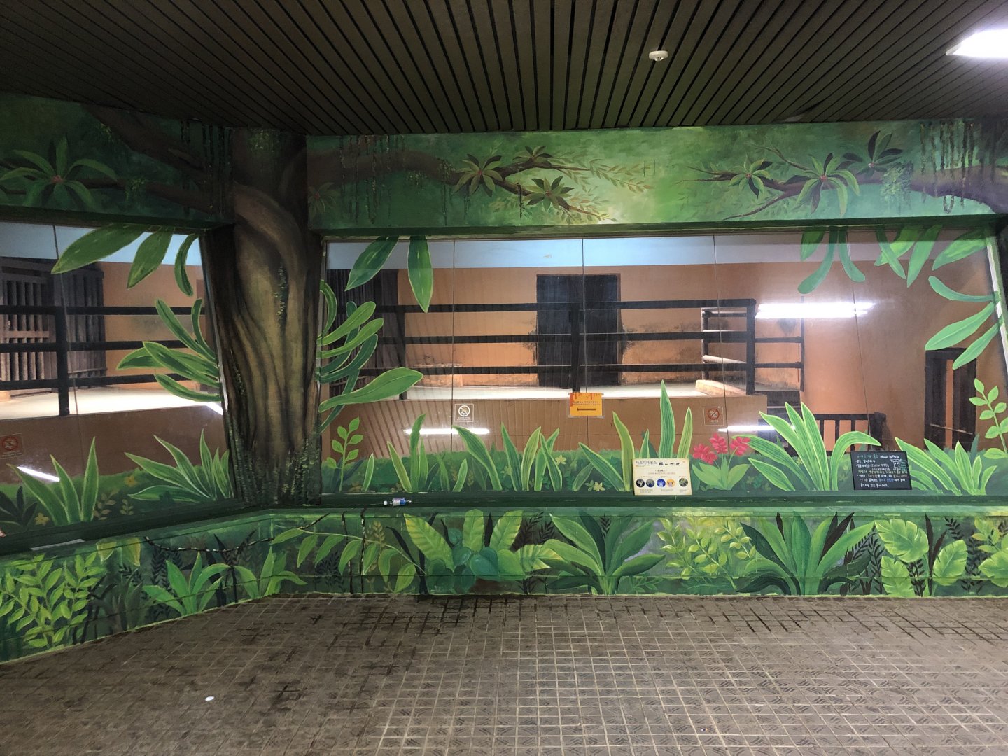 Cape Buffalo Indoor Holding