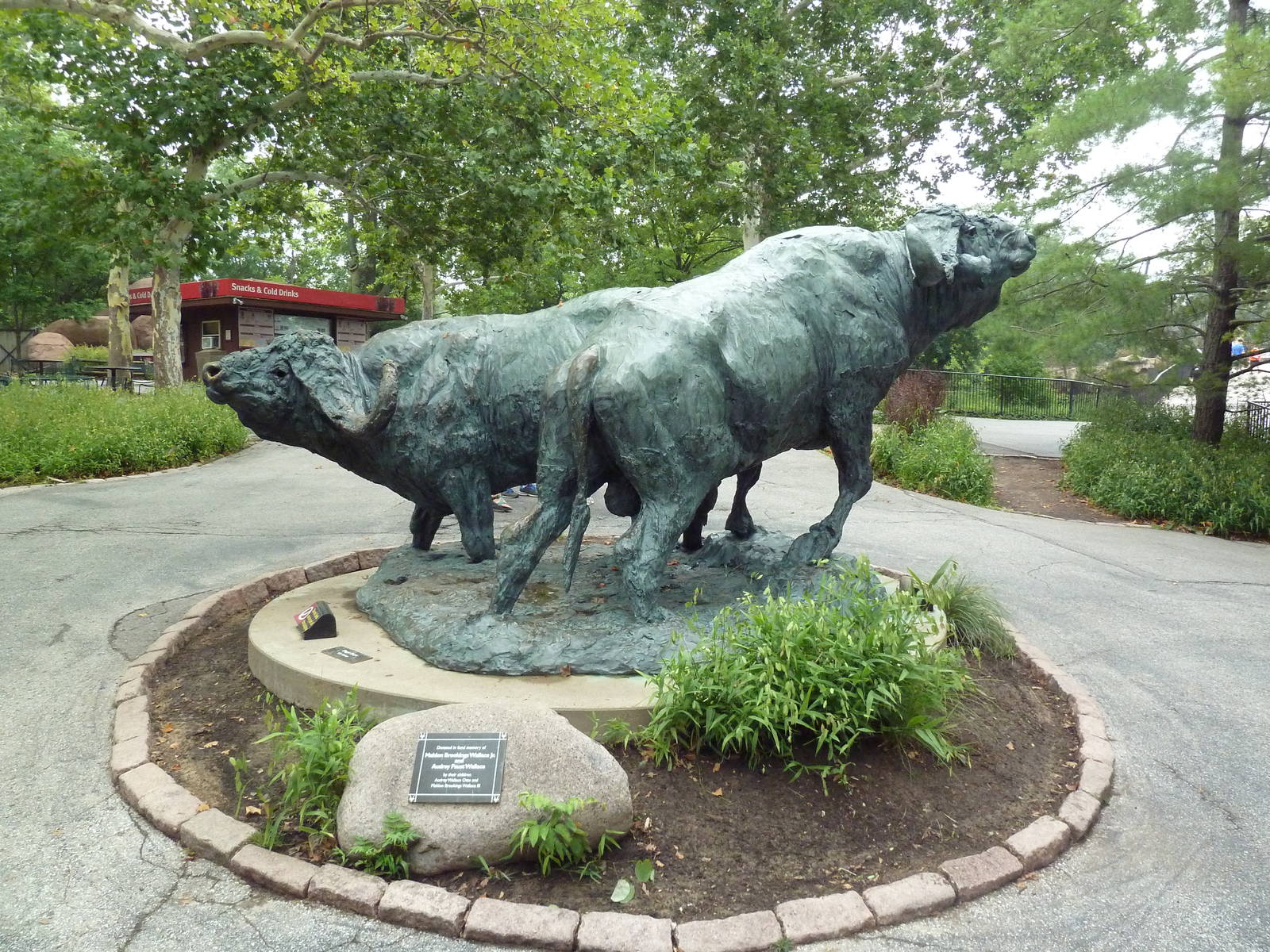 Cape Buffalo Sculpture