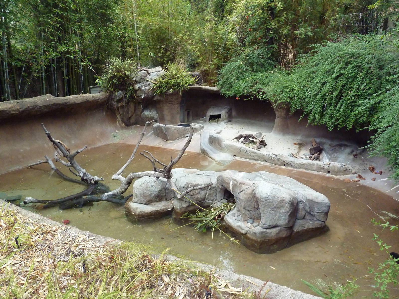 Cape-Clawless Otter Exhibit