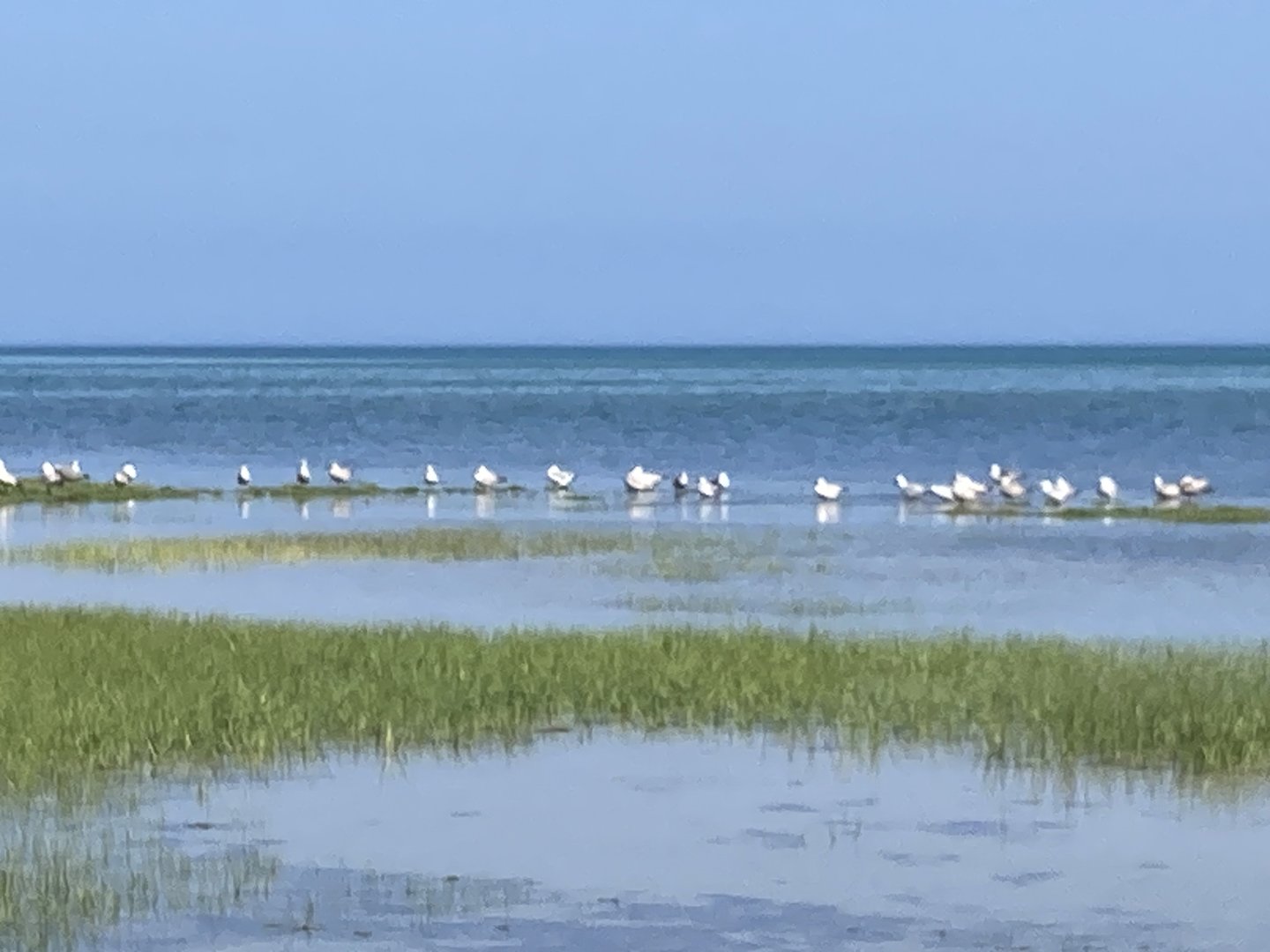 Cape Cod Museum of Natural History Nature Trails