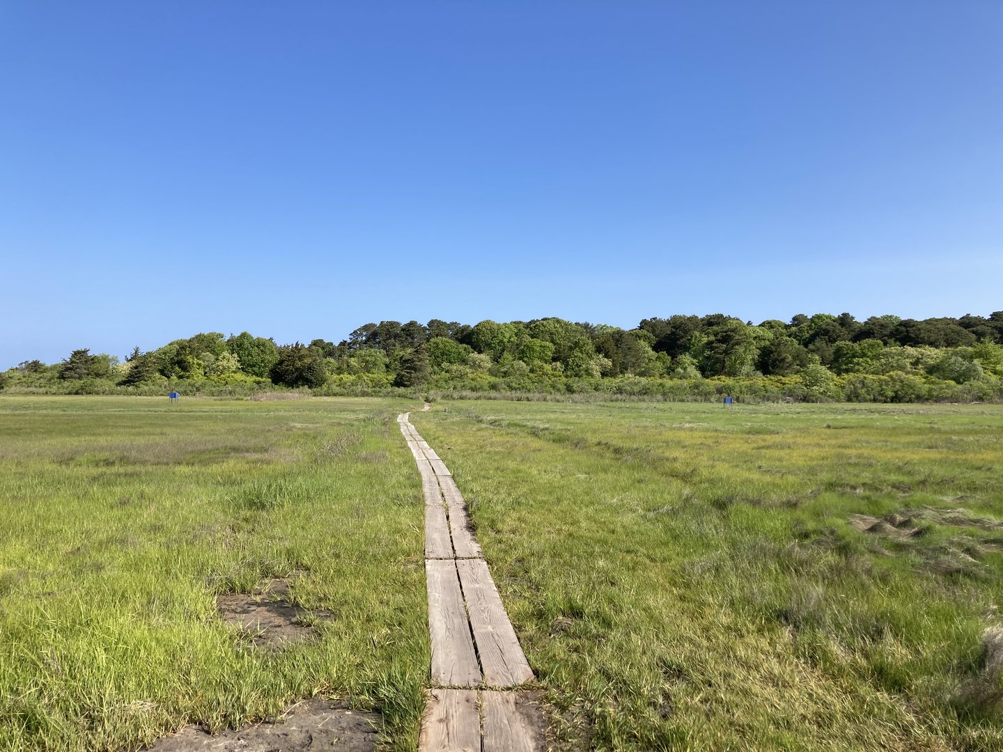 Cape Cod Museum of Natural History Nature Trails