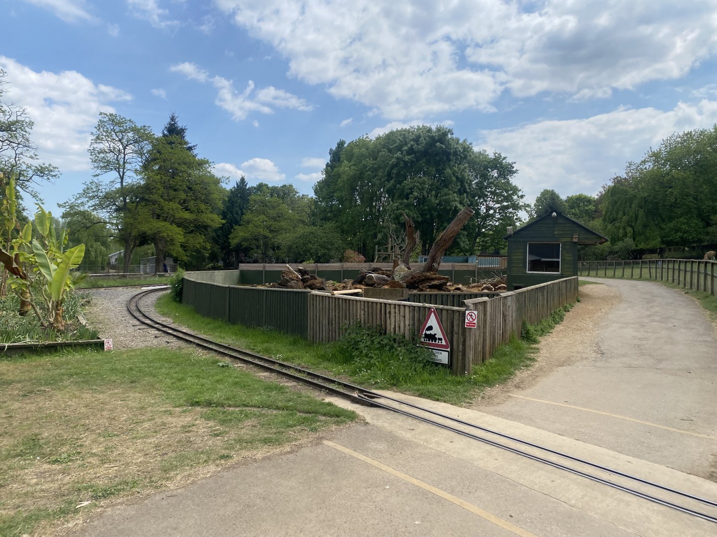 Cape/Crested porcupine enclosure 090525