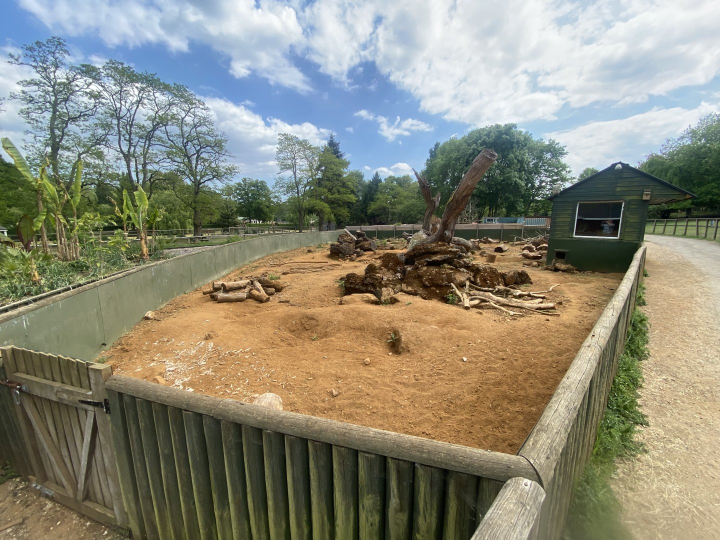 Cape/Crested porcupine enclosure 090525
