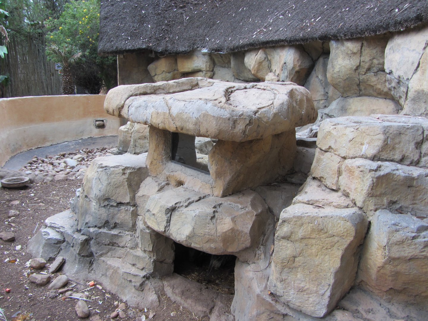 Cape Crested Porcupine Exhibit