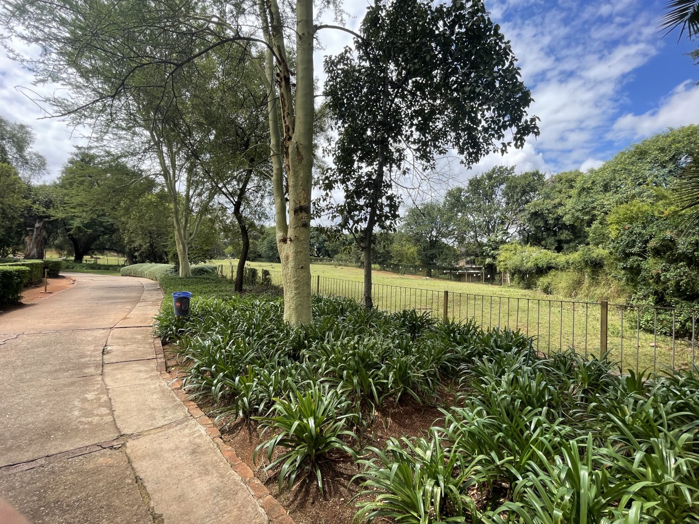 Cape Eland and Kafue Lechwe Exhibit (Tragelaphus oryx oryx, Kobus leche kafuensis)