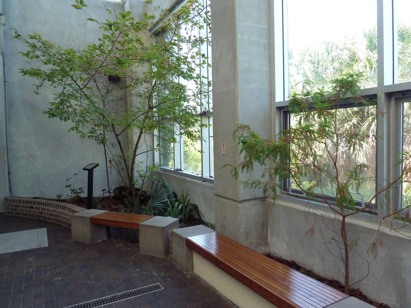 Cape Fear Conservatory - Box Turtle/Glass Lizard Exhibit