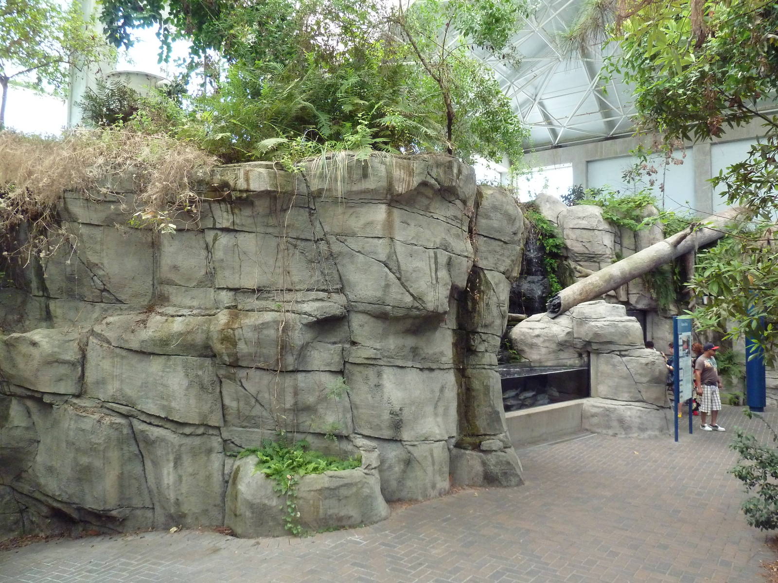 Cape Fear Conservatory