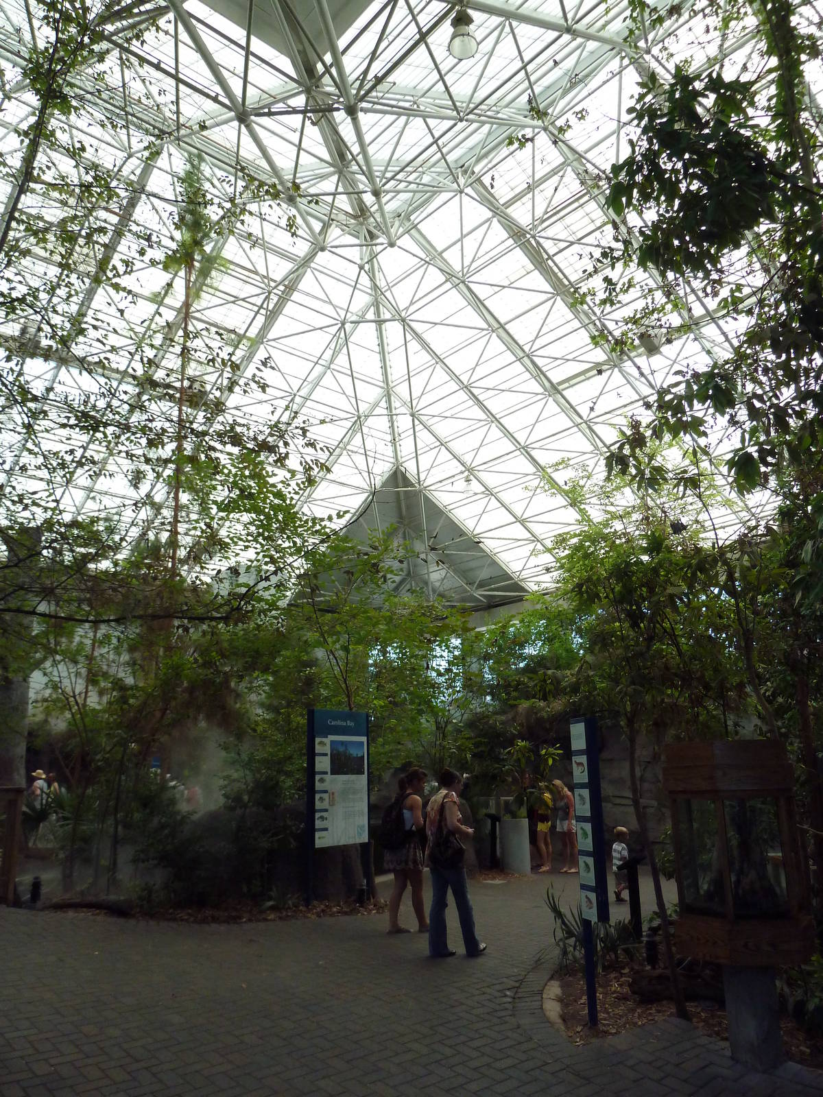 Cape Fear Conservatory