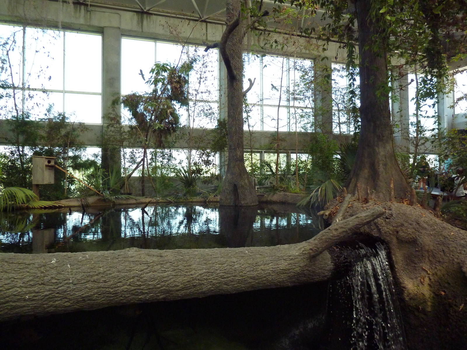 Cape Fear Conservatory