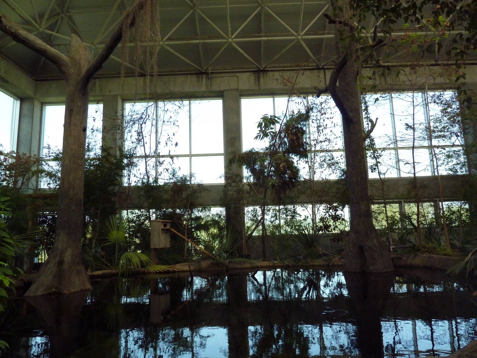 Cape Fear Conservatory