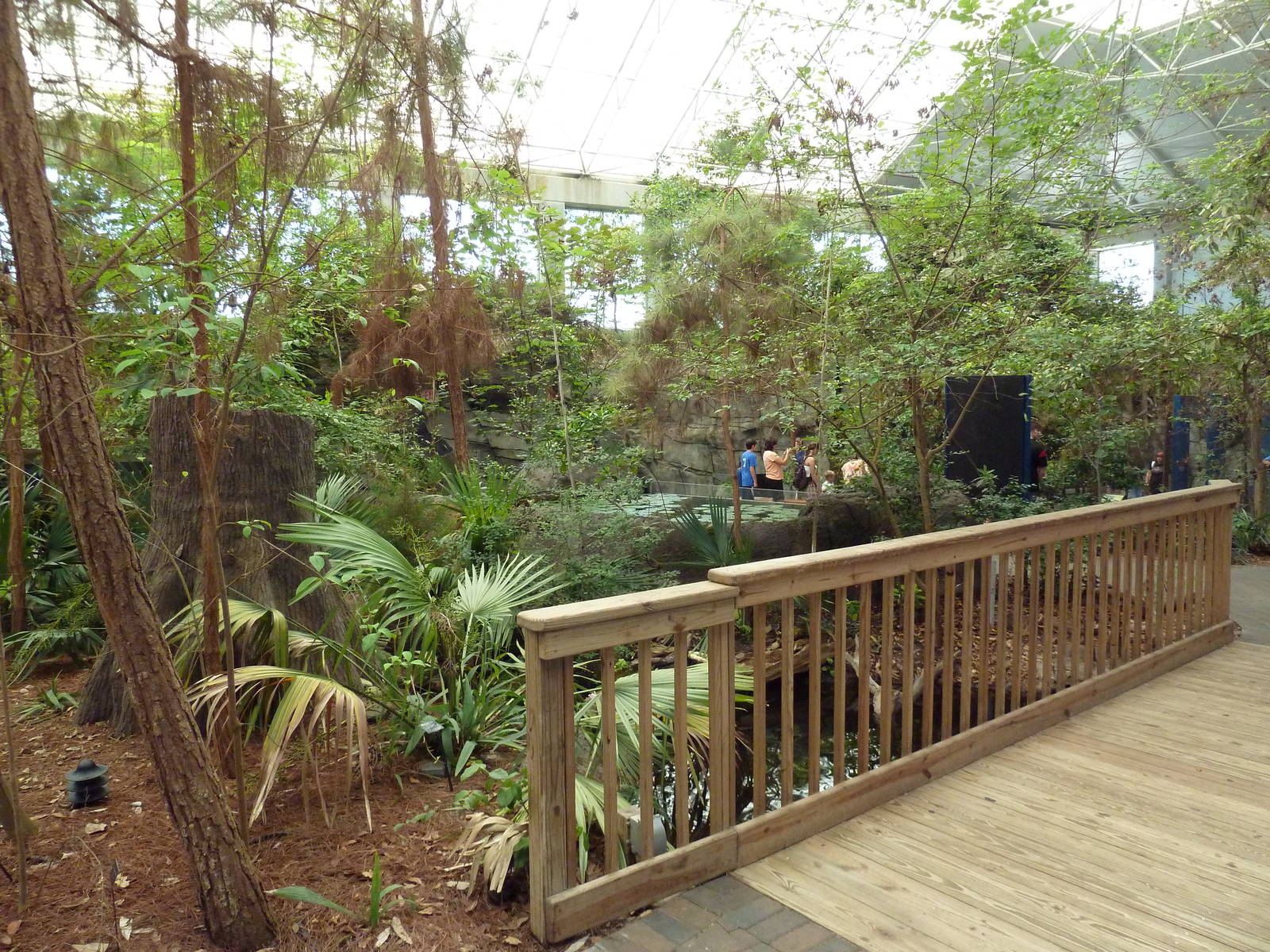 Cape Fear Conservatory