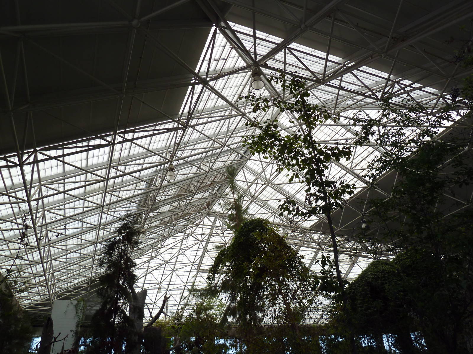 Cape Fear Conservatory