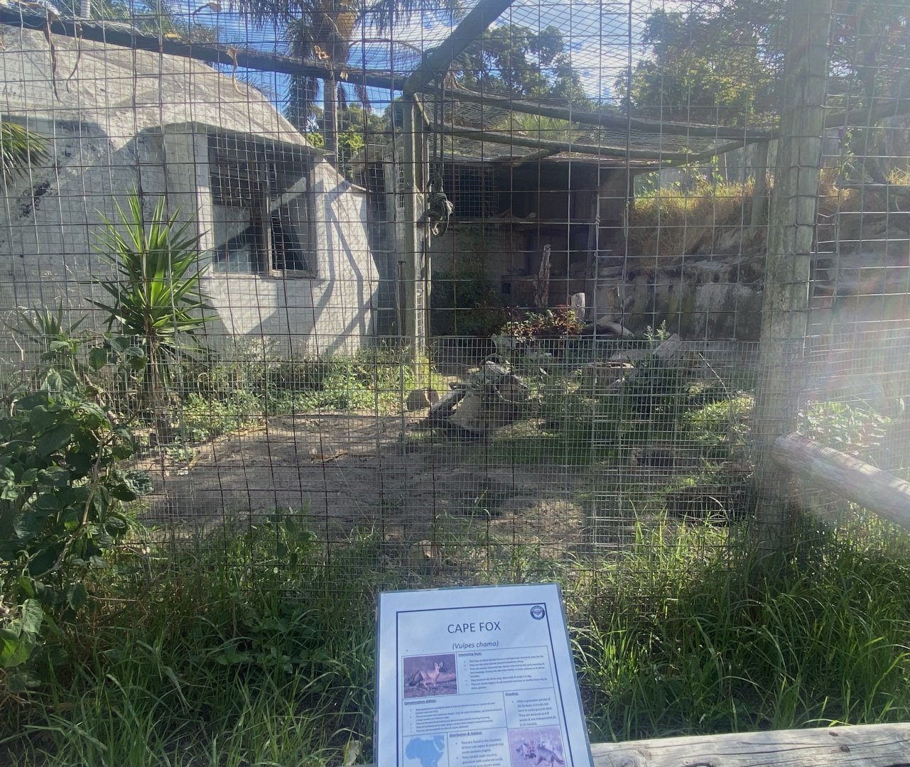 Cape Fox Exhibit
