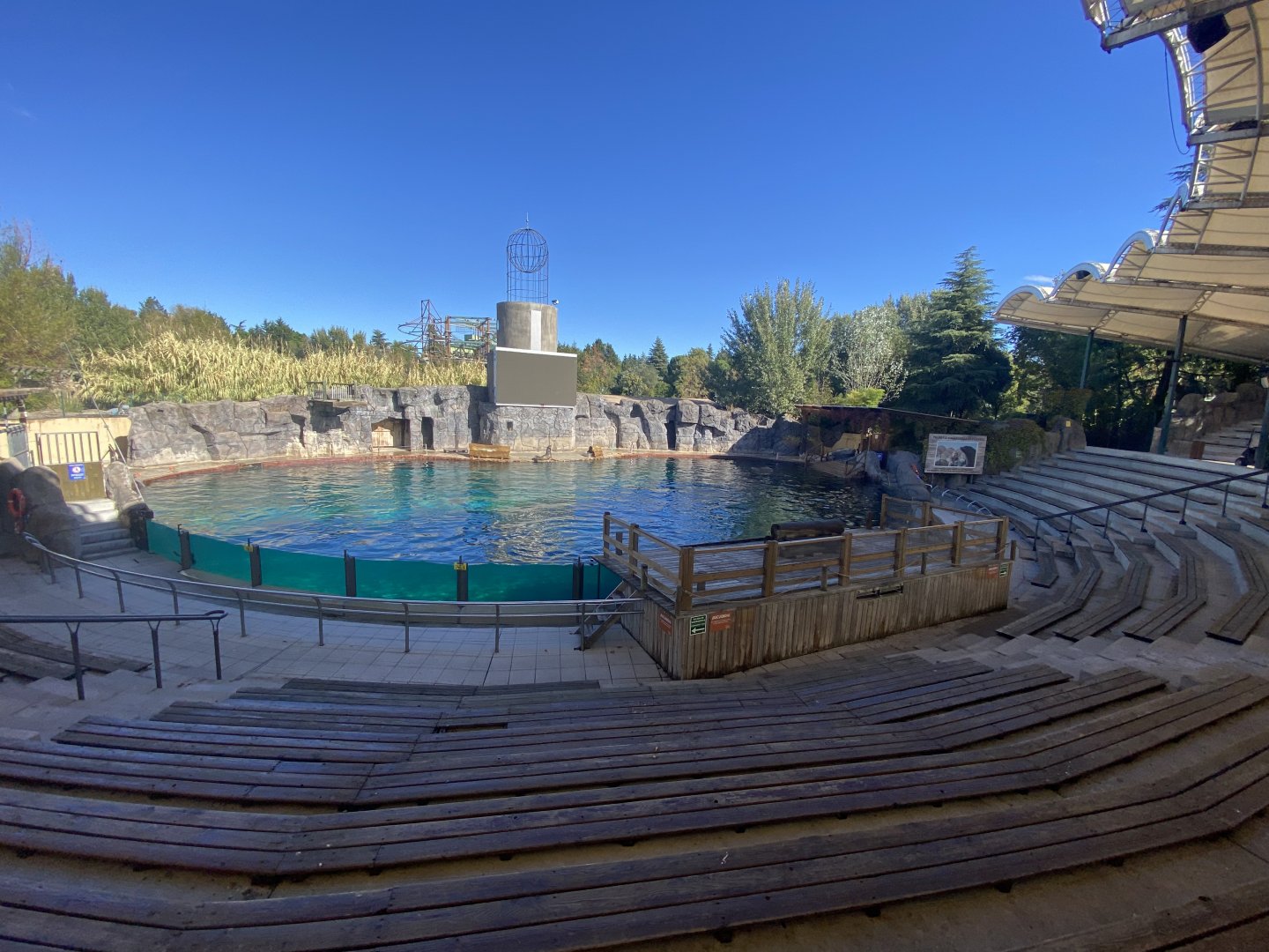 Cape fur seal and Californian sea lion enclosure