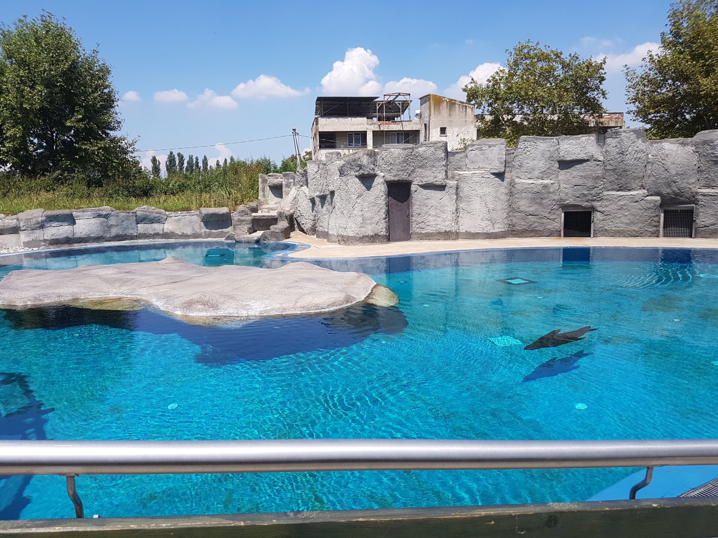 Cape fur seal enclosure
