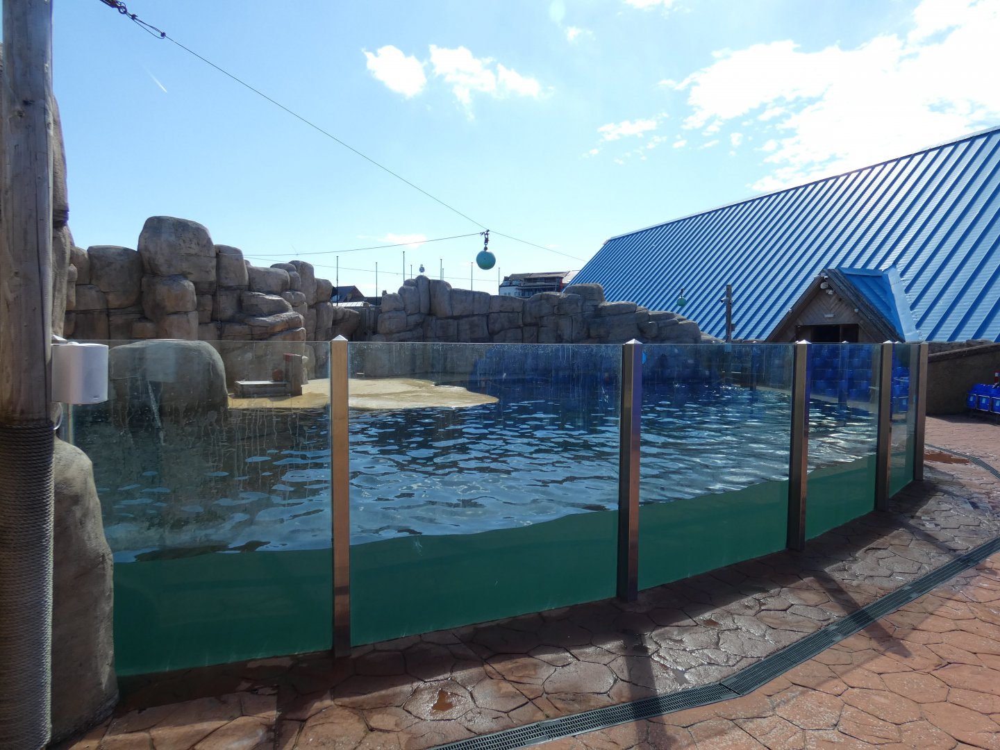 Cape fur seal enclosure