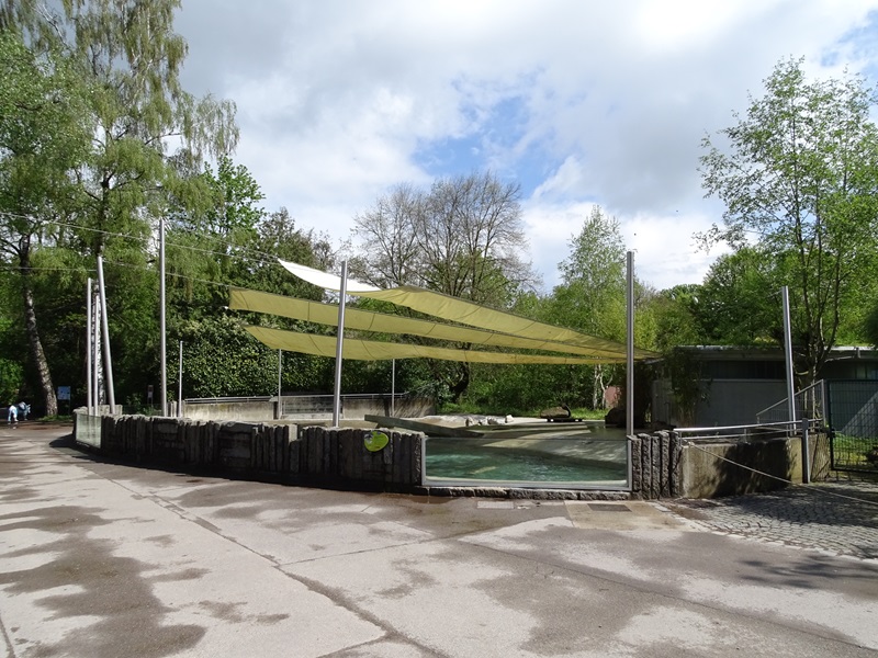 Cape fur seal enclosure